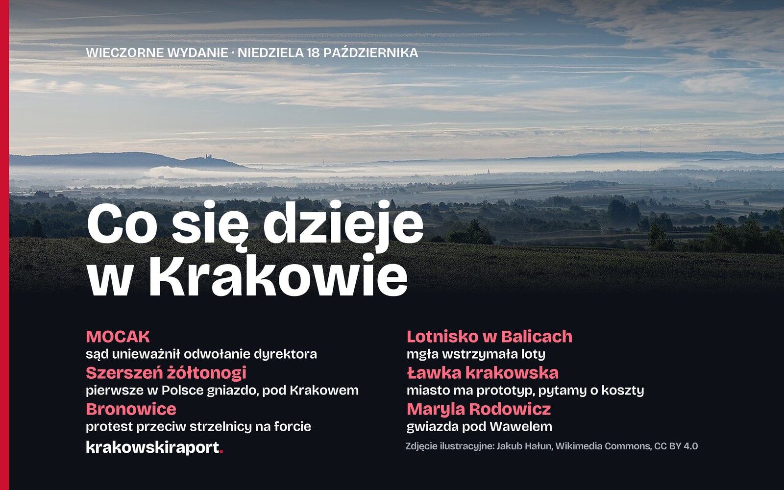 Wyrok w sprawie MOCAK-u, szerszeń żółtonogi pod Krakowem, protest w Bronowicach. Co się dzieje w mieście